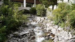 1178 m),imboccare la mulattiera e seguirla brevemente fino ad incontrare il sentiero. Terme Bagni Di Val Masino Picture Of Foresta Bagni Masino Val Masino Tripadvisor