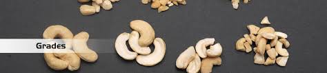 Grades Cashew Nut Manufacturer