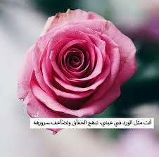 10 عبارات عن الورد الجوري مختارات من أجمل ما ك تب عن الورد