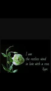 Pin On Poetry