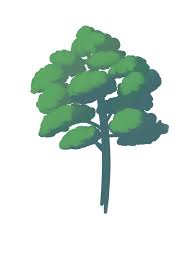Step 2 draw the leaves by keeping the 5 lines in between. How To Draw A Tree From Base To Leaf Medibang Paint