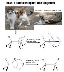 The grace and elegance of cats make them wonderful subjects to draw and sketch. On Cats Part 2 Cat Line Diagrams Master Organic Chemistry