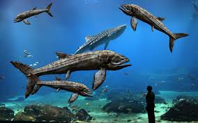 The whale shark is the largest fish on the planet today, and jeremy let our friend walk and show you the vast size and collection of many sea creatures from the plesiosaurus to the blue whale and. Leedsichthys Fanon Wiki Fandom