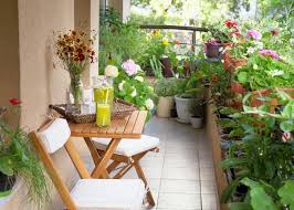 Your hardware store's garden center is filled with garden tools, and garden knife: 10 Tips For Starting A Balcony Garden The Old Farmer S Almanac
