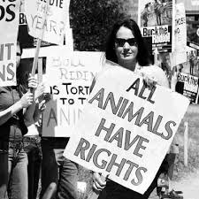 The History Of Animal Rights Part Ii Animal Rights Animal Rights Activist Animal Activism