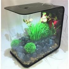 Biorb Flow Aquarium Biorb Fish Tank Fish Tank Supplies Aquarium Fish Tank