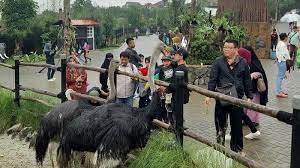 Dan harga tiket masuk sabtu, minggu dan libur nasional harganya 20.000. Harga Tiket Masuk Lembang Park Zoo 2021 Termasuk Aturan Berkunjung Terbaru Selama Pandemi Tribun Travel