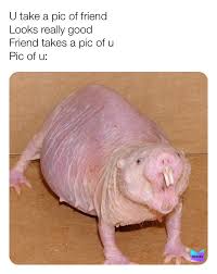 Post By Bigcreamcream Memes