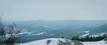 Wind blows through a snow covered wilderness