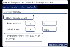 Felt Air Temperature Calculator