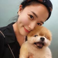 我和我的宝🐶 @alveythepom #老了牙齿都掉了😭