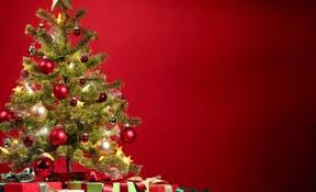 Mar 11, 2020 · trees absorb water at a rapid rate and constant availability of water is the best way to make your christmas tree last longer. Tricks To Make Your Christmas Tree Last Longer 12 Tomatoes