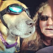 Don't bring this to the function unless you're prepared for war.