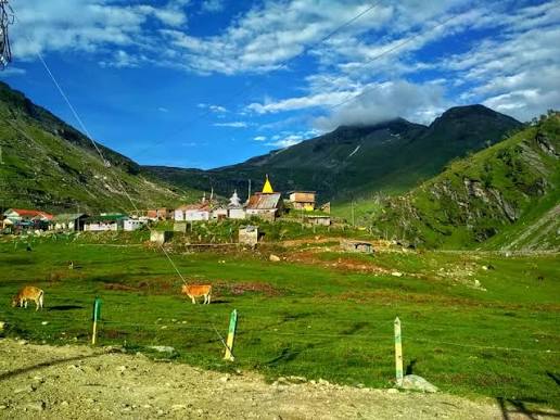 Kothi Village - Kothi Village added a new photo — at...
