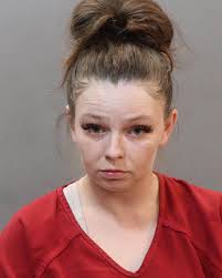 ROARK, DANIELLE JEAN Charges: HOLD FOR SEVIER COUNTY-FTA-THEFT THEFT OF  MERCHANDISE