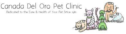 Takes time to answer my questions. Veterinarian In Tucson Az Canada Del Oro Pet Clinic