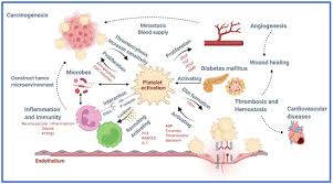 Image result for Drug Induced Platelet Dysfunction