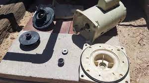 The first thing you'll want to check is the pump lid. Pentair Superflo Pool Pump Shaft Seal Replacement Tutorial Youtube