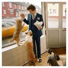 Pin Auf Harry Styles