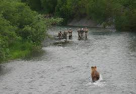 Bear Spray 101 Tips Best Practices In The Field Gearjunkie