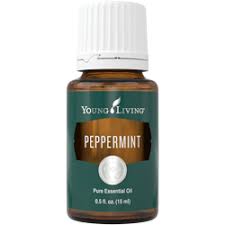 Последние твиты от peppermintos (@peppermintos). Peppermint Essential Oil Young Living Essential Oils