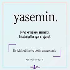 Yasemin Guzel Soz Okuma Alintilari Edebiyat