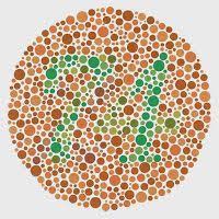 Tes buta warna huruf tokek 3.2.6z apk pada aplikasi tes buta warna ini terdapat berbagai macam contoh soal acak berupa angka. Imran Imrandirga3 Profile Pinterest