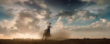 Image result for Copper 1983 Roper