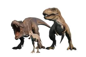 Image result for Vausagesia