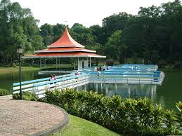 Yandex.translate works with words, texts, and webpages. File Macritchie Reservoir Jpg Wikimedia Commons