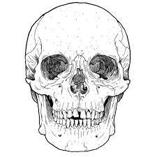 Pin By Mary Sabatini On Art Skull Sticker Autumn Stickers Skull