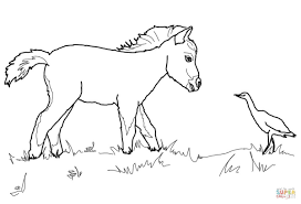 We did not find results for: Coloring Pages Of Horses And Foals Coloring Home