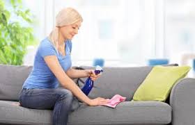 What Kills Lice On Furniture And Household Surfaces Lovetoknow