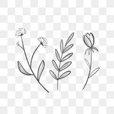 You just have to draw some basic outline and do shading with hatching technique. Flower Png Black And White Simple