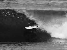 Adam Evarts (@adamevarts) • Instagram photos and videos