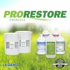 Prorestore Products How To Clean Carpet Mold Remediation Delray Beach Fl