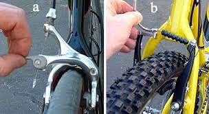 Maybe you would like to learn more about one of these? Removing And Installing Rear Wheels Is Easy Chainwheel Drive Bicycles Clearwater Palm Harbor
