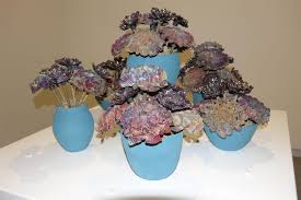 Lois's love of clay leads to win