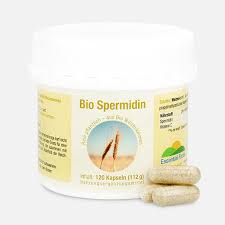 It was originally isolated from semen. Spermidin Anwendung Wirkung