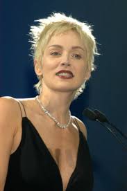 Sharon sten — Stock redaktionelt foto © s_bukley #16382595