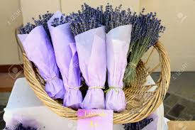 We did not find results for: Beautiful Bouquets Of Lavender Flowers For Sale On The Street Of The Small Village Vaison La Romanie Provence France Stock Photo Picture And Royalty Free Image Image 30802485