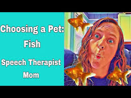 Choosing a Pet: Fish + Fishkeeping 101 (Benefits, Cost, Maintenance, &  Getting Started)