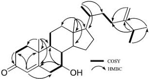 Image result for Antrocaryon