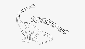 Check spelling or type a new query. B Is For Brachiosaurus Coloring Page Brachiosaurus Colouring Page Free Transparent Png Download Pngkey