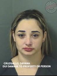 Toombs County Mugshots