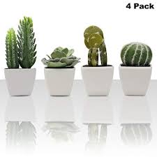 The ultimate guide to cactus care. Belle Vous Artificial Succulent Plants 4 Pcs Mini Fake Cactus In White Pot Requires No Care Faux Decorative Plants For Home Office Living Room Kitchen Bookshelf Tabletop Decoration Buy Online