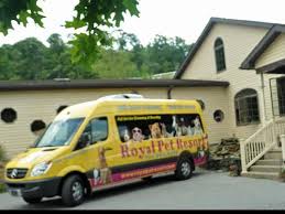 Now $296 (was $̶4̶1̶1̶) on tripadvisor: Royal Pet Resort Royalpetresort1 Twitter