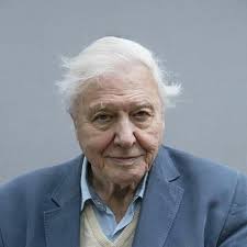 Matthew Klooster (American Artist, born 1979) "Winter Cathedral", 2020. ❤️  Oil