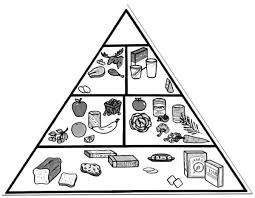 Designs include cornucopias, corn stalks, and turkeys! Drawing Food Pyramid Coloring Pages Download Print Online Coloring Pages For Free Color Nimbus