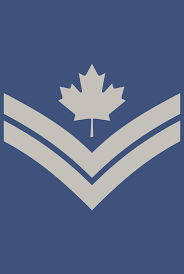 Air force ranks are more than just who salutes whom. Ranks And Insignia Of Nato Air Forces Enlisted Military Wiki Fandom